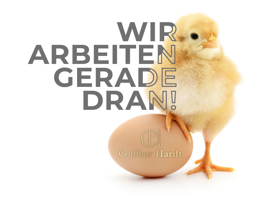 Logo - Coiffeur Hardt - Ihr Friseur in Hemer